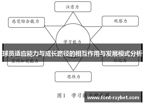 球员适应能力与成长路径的相互作用与发展模式分析