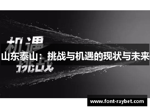 山东泰山：挑战与机遇的现状与未来
