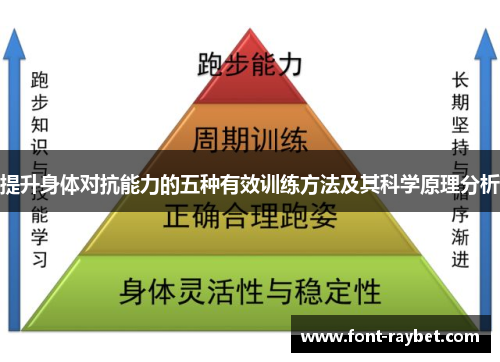 提升身体对抗能力的五种有效训练方法及其科学原理分析