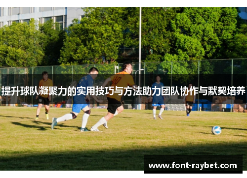 提升球队凝聚力的实用技巧与方法助力团队协作与默契培养